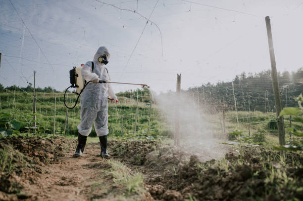 Best Pest Prevention Services  in Fairmead, CA