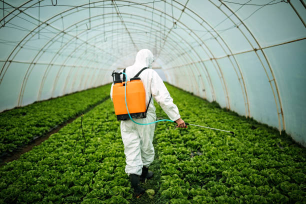 Best Local Pest Control Services  in Fairmead, CA