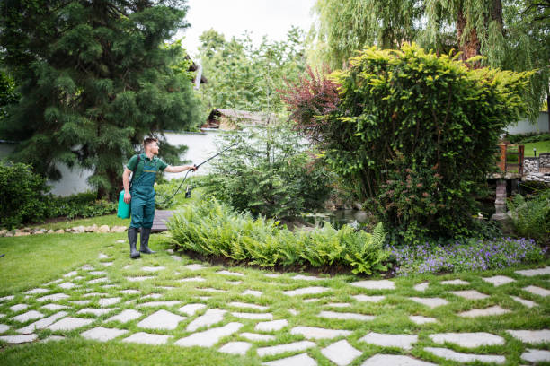 Best Best Pest Control Companies  in Fairmead, CA