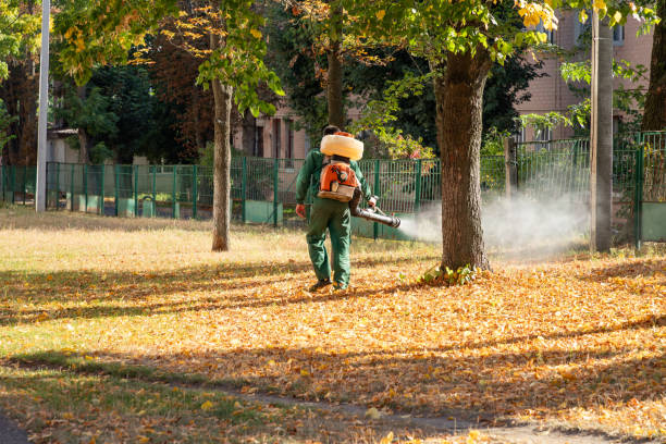 Best Pest Removal Services  in Fairmead, CA